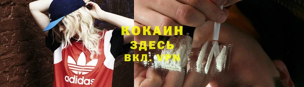 молекула духа Аркадак